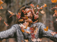 Новочеркасцам пообещали выходные без осадков