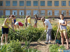 В Новочеркасске за уход за клумбами школьникам заплатили деньги