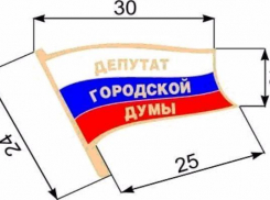 Новочеркасские депутаты озаботились отличительной символикой