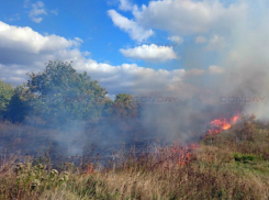 Целый час боролись спасатели с огнем, поглотившим окраину Новочеркасска