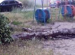 Упавшее дерево третий день лежит на детской площадке в Новочеркасске