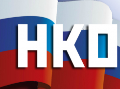 Проект новочеркасской некоммерческой организации получил президентский грант