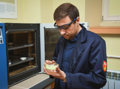 Четверо ученых из Новочеркасска получили миллионные гранты