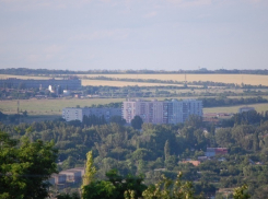 За многодетными семьями Новочеркасска закрепили земельные участки 