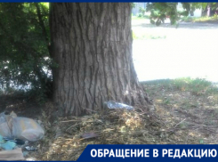 «Без слез не взглянешь», - новочеркасцы