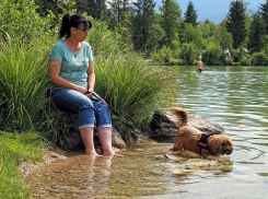 Синоптики пообещали новочеркасцам жаркую неделю без осадков