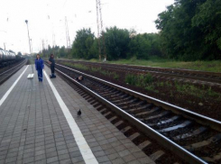 На станции Локомотивстрой в Новочеркасске поезд переехал мужчину