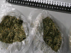 Под Новочеркасском задержали ранее судимого мужчину с крупной партией марихуаны