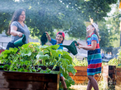Новочеркасцам пообещали прохладные выходные