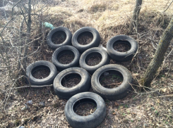 В Новочеркасске появились новые стихийные свалки