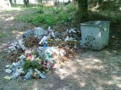 Мусорная свалка появилась в парке новочеркасского микрорайона Соцгород
