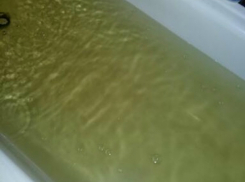 Вонючая зеленая вода, льющаяся из водопроводных кранов, возмутила новочеркасцев