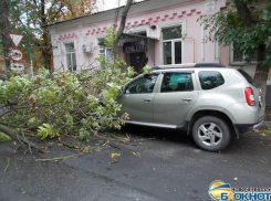 Сильный ветер валит деревья, рвет провода, повреждает здания и машины в Новочеркасске