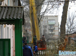 На улице Каштановой в Новочеркасске упало очередное дерево