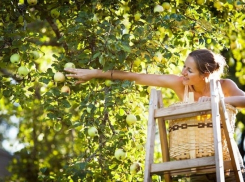 В Новочеркасске на этой неделе жара спадет до +22°С