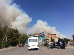В Новочеркасске горит сухая трава на площади 400 квадратных метров