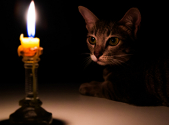 10 августа почти половина Новочеркасска останется без света