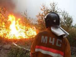Класс пожарной опасности в Новочеркасске и окрестностях повысили до пятого