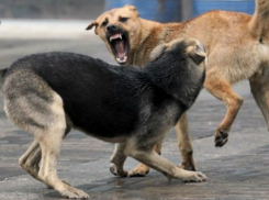 «Думал, мне конец», - житель Новочеркасска 