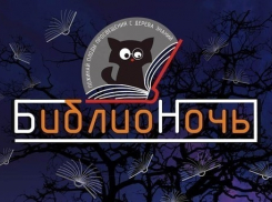 Новочеркасцев ждут на «Бибилионочи-2015»