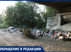 «Разбитая дорога и трупный запах свалки лишили нас покоя», - новочеркасцы 