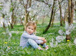 Перед рабочей неделей новочеркасцев ждут жаркие выходные
