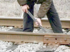 В Новочеркасске подделыватель документов переквалифицировался в воры