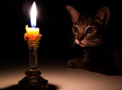 В Новочеркасске десятки улиц останутся без света