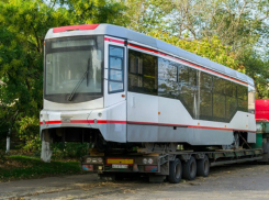 Еще два новых трамвая прибыли в Новочеркасск