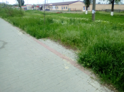 Прогулочная аллея в новочеркасском микрорайоне Октябрьский вновь пострадала от рук вандалов