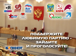 Третье предварительное голосование за баллотирующиеся в Госдуму партии началось