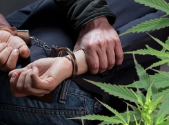 В Новочеркасске у мужчины нашли крупную партию «улётной» травки