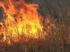 В Новочеркасске произошел крупный ландшафтный пожар 