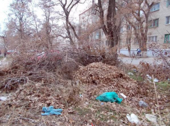 Жители Новочеркасска на улице Энгельса организовали стихийную свалку