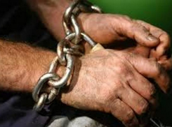 В 50 километрах от Новочеркасска бомжи попали в рабство