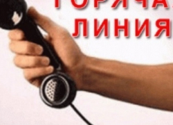 Новочеркасцы могут пожаловаться на своих работодателей по телефону горячей линии