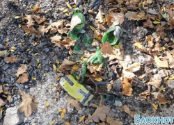 Пенсионер из Новочеркасска убил своего знакомого, а затем сжег его тело