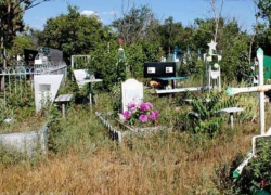 Незаконные свалки с кладбищ Новочеркасска уберет местный предприниматель