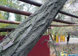 В Новочеркасске упавшее дерево прогнуло газопровод возле игровой площадки детского сада