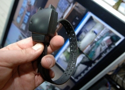 На вышедших из тюрьмы педофилов хотят надеть электронные браслеты