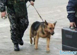 В Новочеркасске телефонный террорист «заминировал» пять жилых пятиэтажек