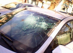 В Новочеркасске на движущийся автомобиль упала большая ветка