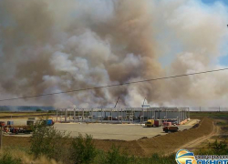 В Новочеркасске ищут людей, которые поджигают сухую траву в пойме Тузлова. ВИДЕО