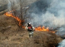 В Новочеркасске увеличилось количество ланшафтных пожаров