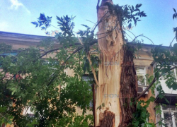 Налетевший на Новочеркасск ветер валил деревья и срывал баннеры