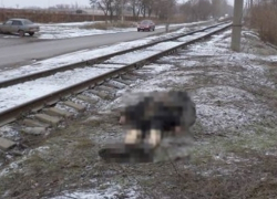 В Новочеркасске мужчина погиб под колесами товарного поезда