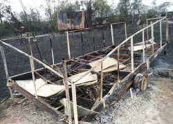 Под Новочеркасском сотни пчел сгорели во время ландшафтного пожара
