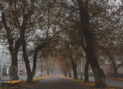 Синоптики обещают потепление в выходные в Новочеркасске