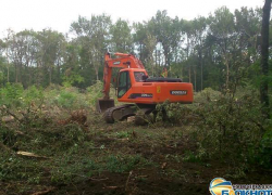 В Новочеркасске на месте строительства детского сада в роще деревья больше не пилили (ВИДЕО)