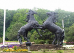 Воры, укравшие 50 цветов на площади Юбилейной, останутся безнаказанными